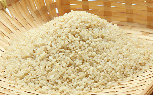 あきたこまち玄米5kg【配送不可地域：離島・沖縄県】