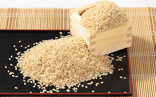 令和7年産 あきたこまち 玄米 20kg(5kg×4袋)【配送不可地域：離島・沖縄県】