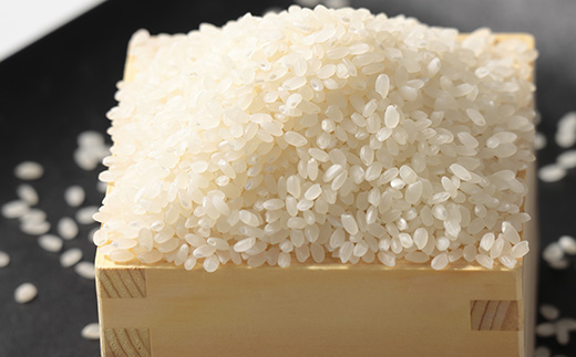 令和7年産 あきたこまち 白米 20kg(5kg×4袋)【配送不可地域：離島・沖縄県】