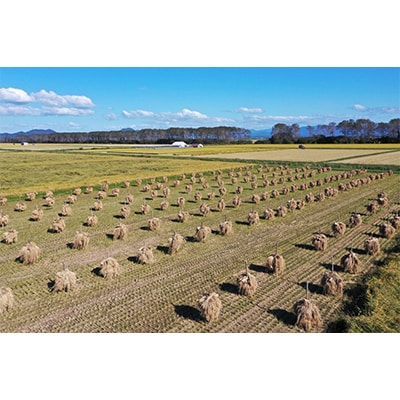 【お米市場大潟】湖の誉れ あきたこまち(精米)5kg