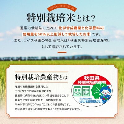 【精米】大潟村産あきたこまち特別栽培米5kg 【令和7年産】【配送不可地域：離島・沖縄県】