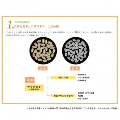 【毎月定期便】サキホコレ2kg(精米)特栽米全12回【配送不可地域：離島・沖縄県】