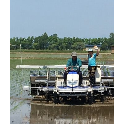 【発送月固定定期便】1月・4月・7月　特別栽培米あきたこまち5kg全3回【配送不可地域：離島・沖縄県】