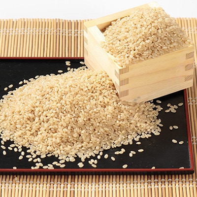 【毎月定期便】あきたこまち 玄米 30kg(5kg×6袋)全9回【配送不可地域：離島・沖縄県】