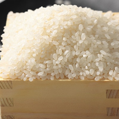 【毎月定期便】ミルキープリンセス 白米 30kg(5kg×6袋)全6回【配送不可地域：離島・沖縄県】