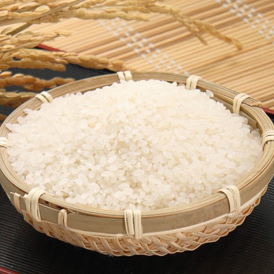 【毎月定期便】あきたこまち特別栽培無洗精米5kg全6回【配送不可地域：離島・沖縄県】