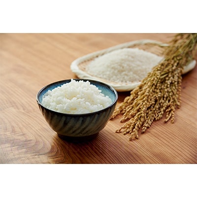 2023年10月発送開始『定期便』秋田県産特別栽培米あきたこまち　白米10kg全12回【配送不可地域：離島・沖縄県】