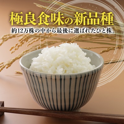 サキホコレ精米5kg【配送不可地域：離島・沖縄県】