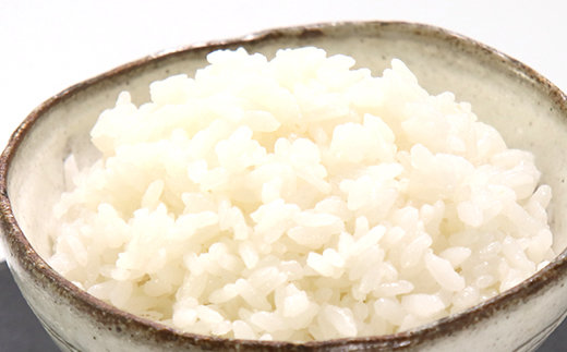 サキホコレ特別栽培米使用 パックライス180g3個パック×8袋セット【配送不可地域：離島・沖縄県】