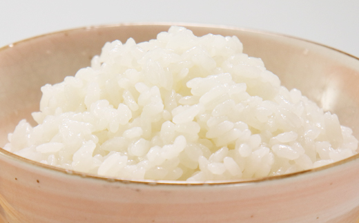 パックライス専用ブレンド 秋田米100%のご飯(パックライス) 180g10パック×4袋セット【配送不可地域：離島・沖縄県】