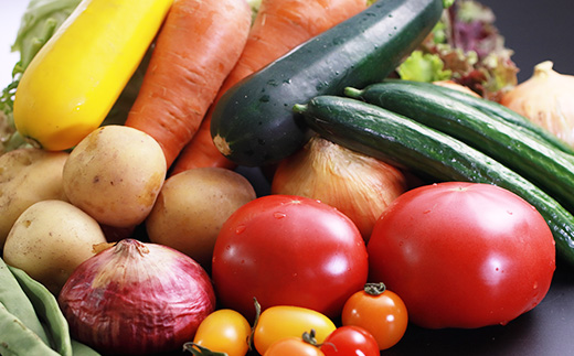 【数量限定】大潟村産おまかせ野菜セット【5～10品目】【配送不可地域：離島・沖縄県・九州】