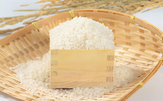 【令和7年産】特別栽培米サキホコレ5kg(白米)【配送不可地域：離島・沖縄県】