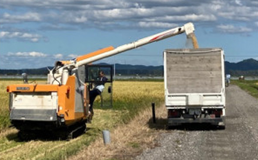 【令和7年産】特別栽培米あきたこまち2kgと特別栽培米サキホコレ2kgの白米食べ比べセット【配送不可地域：離島・沖縄県】