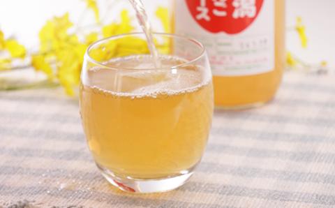 大潟村 山本りんご園のりんごジュース1L×4本セット【配送不可地域：離島・沖縄県】