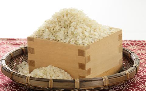 新米　令和7年産　特別栽培米あきたこまち　五分づき米2kg【配送不可地域：離島・沖縄県】