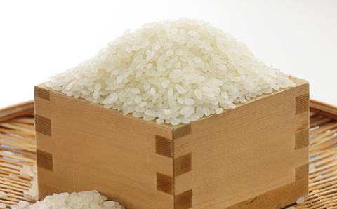 新米　令和7年産　特別栽培米あきたこまち　無洗米2kg【配送不可地域：離島・沖縄県】