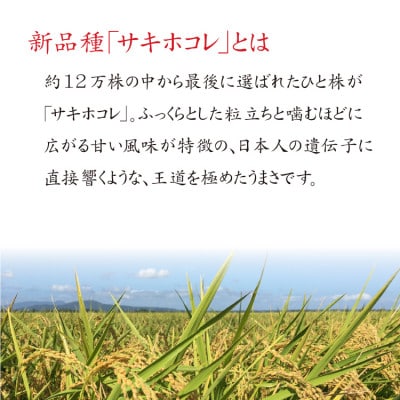 秋田米サキホコレ パックごはん 180g×24個【配送不可地域：離島・沖縄県】