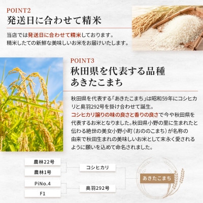 秋田県産あきたこまち5kg【令和7年産】【配送不可地域：離島・沖縄県】