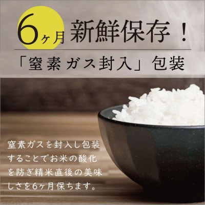 秋田県産 予約受付開始!あきたこまち【令和7年産】無洗米小袋50袋セット　150g×50袋【配送不可地域：離島・沖縄県】