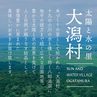 【毎月定期便】秋田県産あきたこまち白米5kg全6回【配送不可地域：離島・沖縄県】