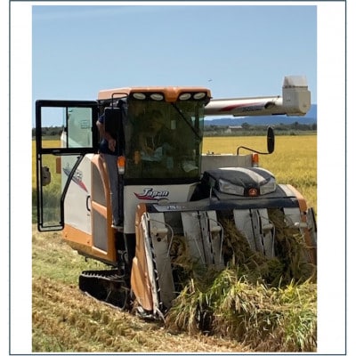 【発送月固定定期便】【毎月お届け】特別栽培米サキホコレ5kg全9回【配送不可地域：離島・沖縄県】