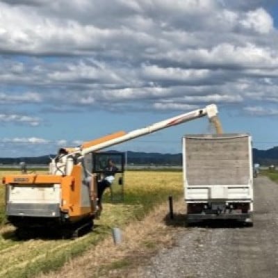 【2ヵ月毎定期便】特別栽培米あきたこまち10kg(5kg×2)全3回【配送不可地域：離島・沖縄県】