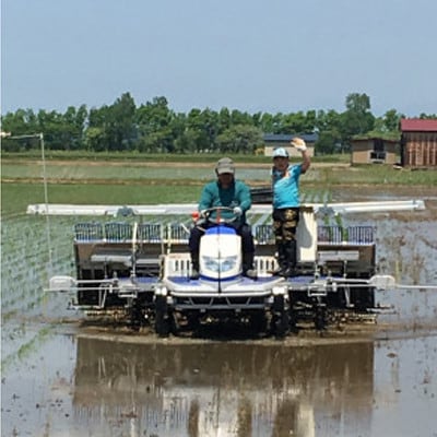 【3ヵ月毎定期便】特別栽培米サキホコレ10kg(5kgx2)全2回【配送不可地域：離島・沖縄県】