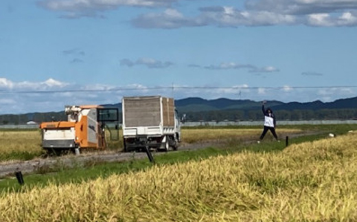 令和6年産　特別栽培米あきたこまち(白米)5kg【配送不可地域：離島・沖縄県】