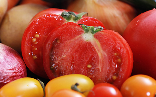 【数量限定】大潟村産おまかせ野菜セット【5～10品目】【配送不可地域：離島・沖縄県・九州】