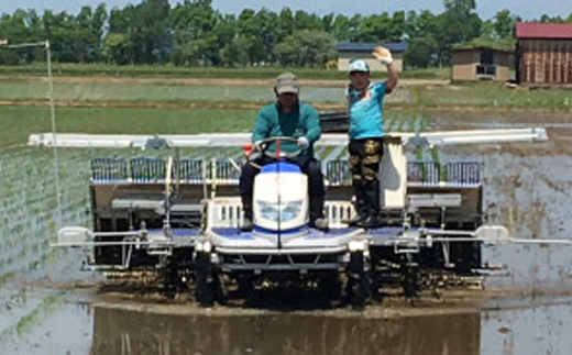 【令和7年産】特別栽培米サキホコレ5kg(白米)【配送不可地域：離島・沖縄県】