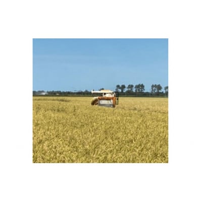 令和6年産　サキホコレ　白米4.5kg(30合)【配送不可地域：離島・沖縄県】