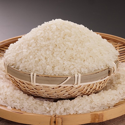 【2ヵ月毎定期便】あきたこまち有機白米5kg【精米】全5回【配送不可地域：離島・沖縄県】