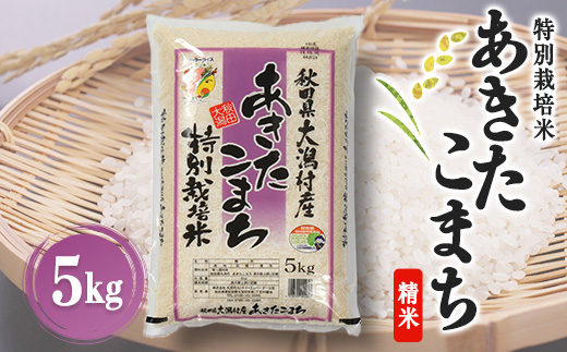 あきたこまち特別栽培米 精米5kg【配送不可地域：離島・沖縄県】