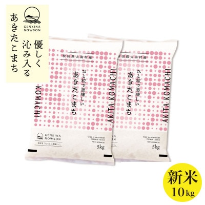 秋田県産 予約受付開始!あきたこまち【令和7年産】白米10kg(5kg×2)《10月中旬より発送》【配送不可地域：離島・沖縄県】