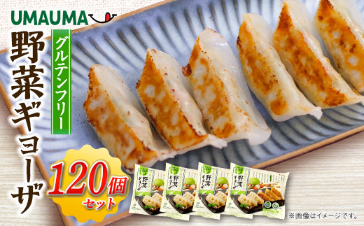 UMAUMAグルテンフリー野菜ギョーザ120個セット【配送不可地域：離島・沖縄県】