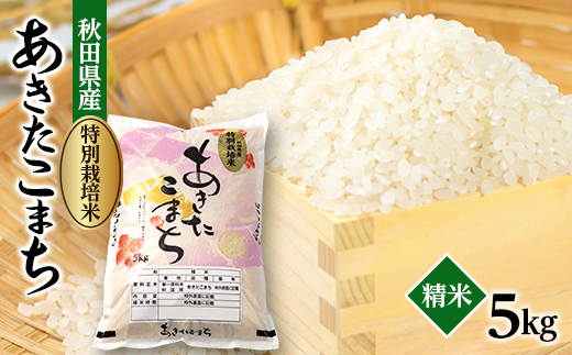 令和6年産　特別栽培米あきたこまち(白米)5kg【配送不可地域：離島・沖縄県】
