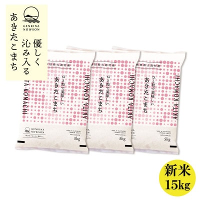 秋田県産 予約受付開始!あきたこまち【令和7年産】白米15kg(5kg×3)《10月中旬より発送》【配送不可地域：離島・沖縄県】