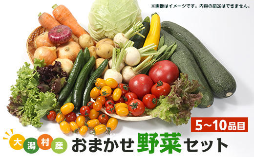 【数量限定】大潟村産おまかせ野菜セット【5～10品目】【配送不可地域：離島・沖縄県・九州】