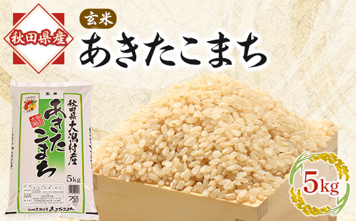 あきたこまち玄米5kg【配送不可地域：離島・沖縄県】