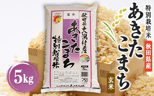 あきたこまち特別栽培玄米5kg【配送不可地域：離島・沖縄県】
