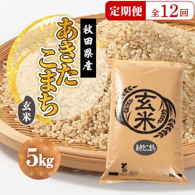 【毎月定期便】あきたこまち 玄米 5kg全12回【配送不可地域：離島・沖縄県】