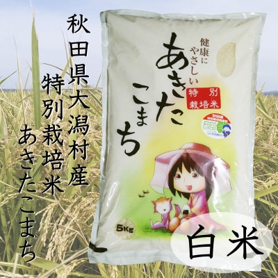 新米　令和7年産　特別栽培米あきたこまち　白米5kg【配送不可地域：離島・沖縄県】