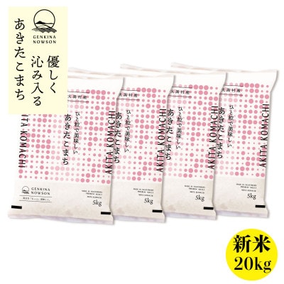 秋田県産 予約受付開始!あきたこまち【令和7年産】白米20kg(5kg×4)《10月中旬より発送》【配送不可地域：離島・沖縄県】