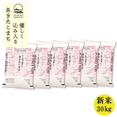 秋田県産 予約受付開始!あきたこまち【令和7年産】無洗米30kg(5kg×6)《10月中旬より発送》【配送不可地域：離島・沖縄県】
