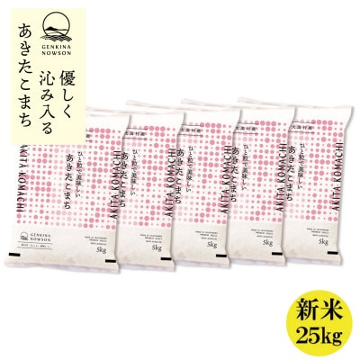 秋田県産 予約受付開始!あきたこまち【令和7年産】無洗米25kg(5kg×5)《10月中旬より発送》【配送不可地域：離島・沖縄県】