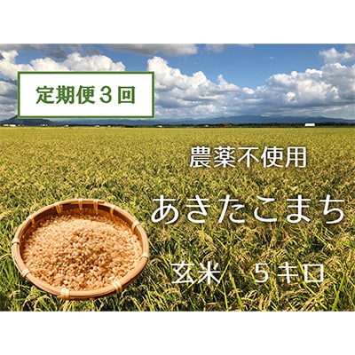【2ヵ月毎定期便】あきたこまち玄米5kg (栽培期間中農薬不使用・化学肥料不使用) 全3回【配送不可地域：離島・沖縄県】