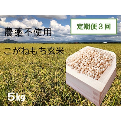 【2ヵ月毎定期便】もち米玄米5kg (栽培期間中農薬不使用・化学肥料不使用) 全3回【配送不可地域：離島・沖縄県】