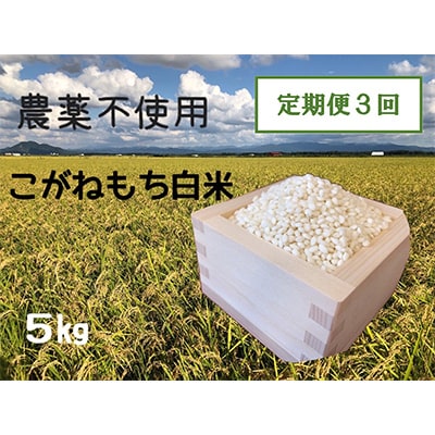 【2ヵ月毎定期便】もち米白米5kg (栽培期間中農薬不使用・化学肥料不使用) 全3回【配送不可地域：離島・沖縄県】