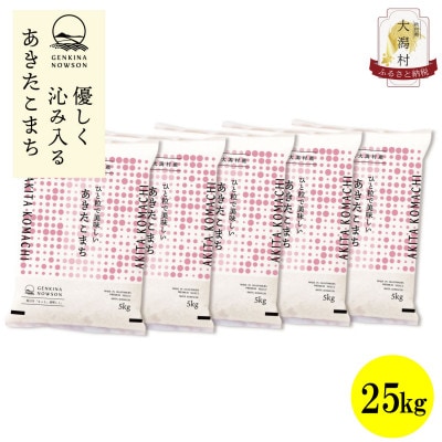 【毎月定期便】秋田県産あきたこまち無洗米25kg(5kg×5)全12回【配送不可地域：離島・沖縄県】