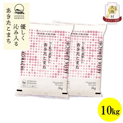 【毎月定期便】秋田県産あきたこまち白米10kg(5kg×2)全6回【配送不可地域：離島・沖縄県】